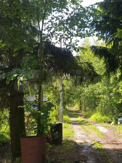 Участок 6,5 сот. (СНТ, ДНП)