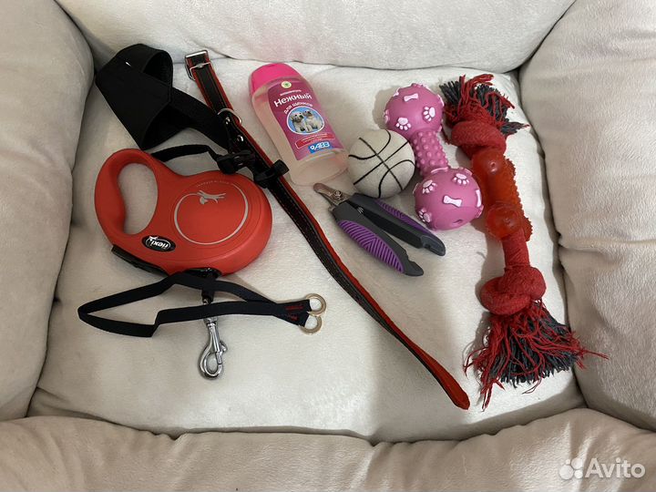 Лежанка, рулетка, корм, игрушки для собак