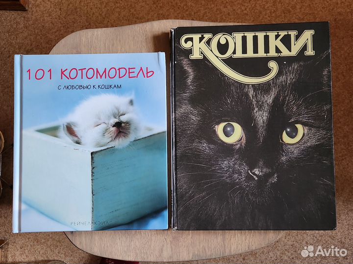 Про собак,кошек,птиц,рыбок,пчел и др