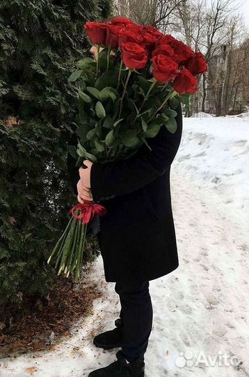 Высокие розы Гигантские Розы 150 160 170 180 190см