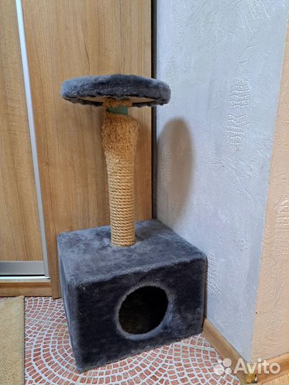 Когтеточка домик для кошки бу