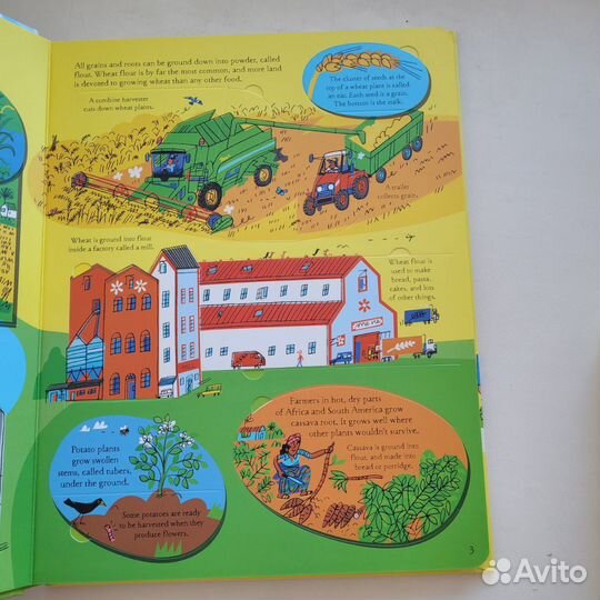 Usborne. Look inside