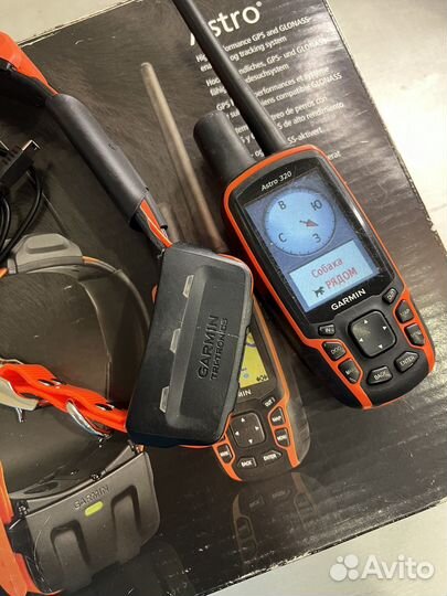 Навигатор Garmin Astro 320 с ошейником T5