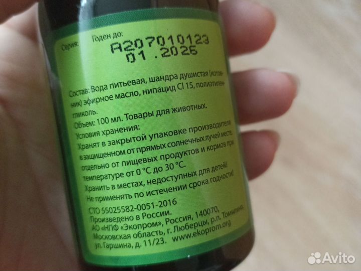 Кошачья мята