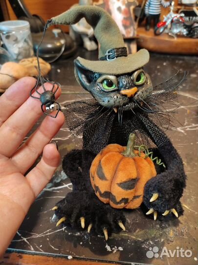 Котик на хеллоуин, ведьмин кот