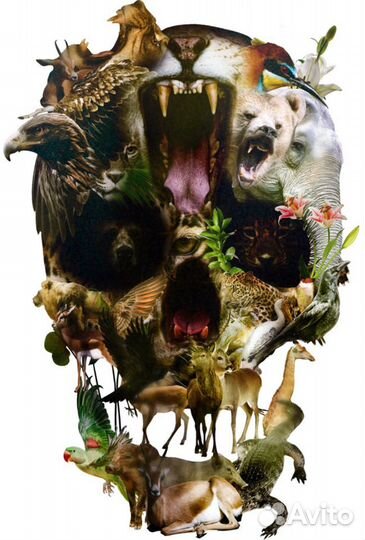 Шаблоны/макеты для печати на футболках и кружках