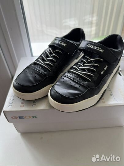 Кеды Geox 39