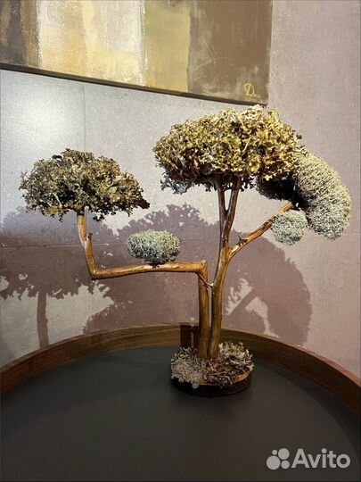 Дерево для интерьера