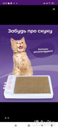 Когтиточка новая с игрушкой