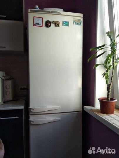 Холодильник stinol-105(доставка)