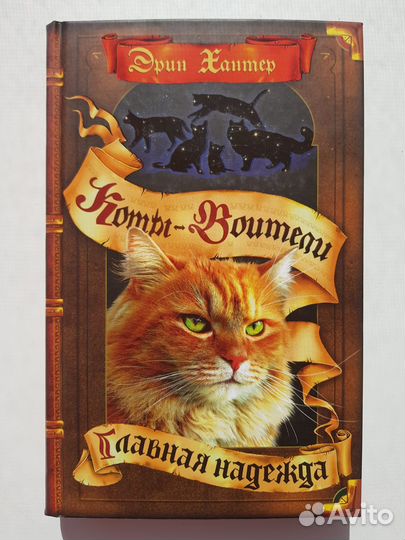 Коты-Воители Главная надежда