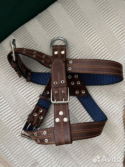 Шляйка для собак