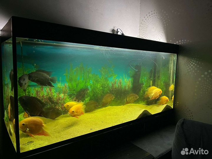 Украшение для аквариума