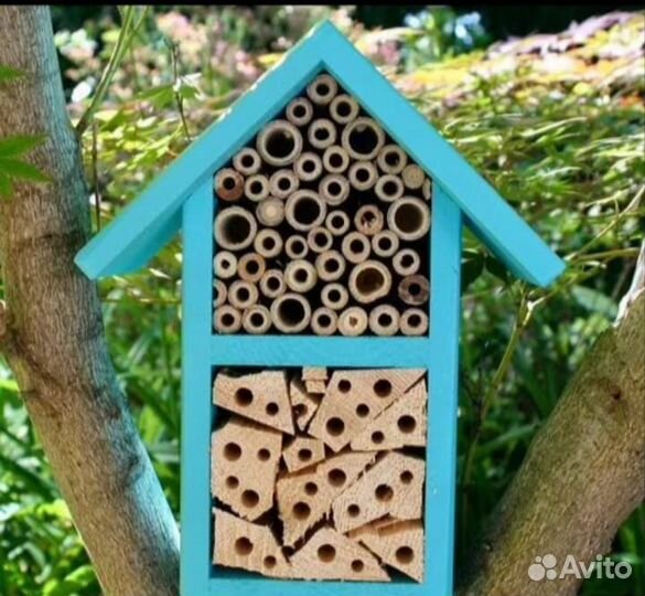 Домик для разведения Божьих коровок