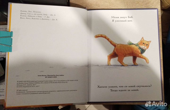 Детская книга кот по имени Боб с иллюстрациями