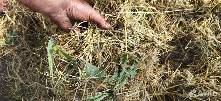 Солома в рулонах