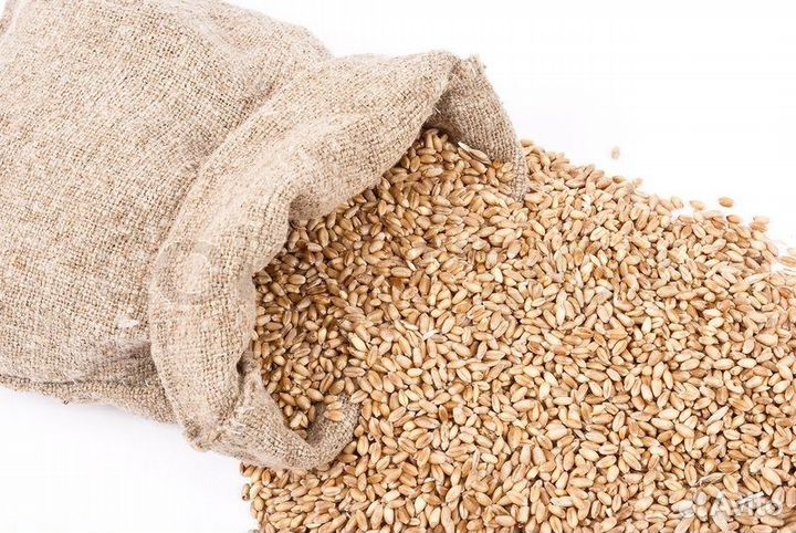 Корма для c/х животных