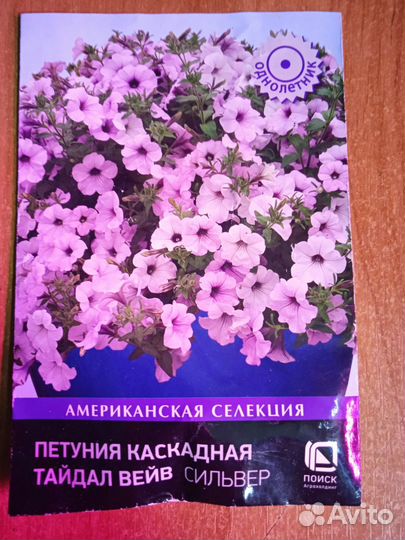 Черенки петуний