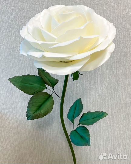 Ростовые цветы