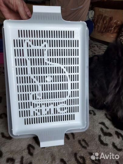 Лоток для кошек