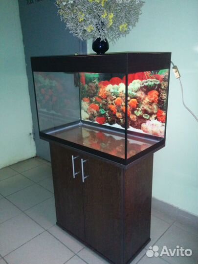 Аквариум100л. свет биофильтр фон, тумба
