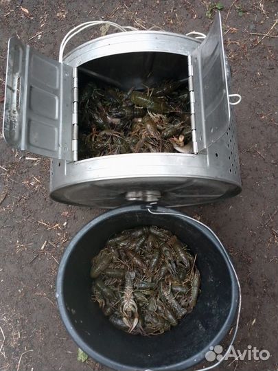 Ищу инвестора