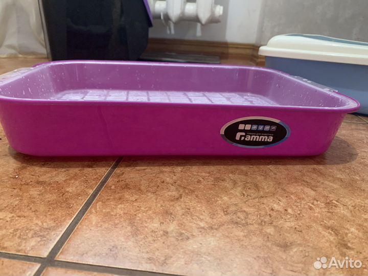 Лоток для котят