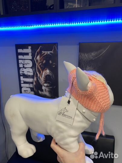 Шапки для собак