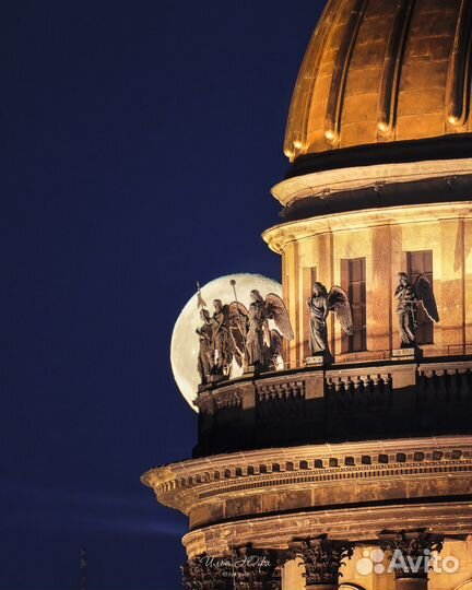 Tamron 150-600mm f/5-6.3 SP Di VC USD G2 Canon