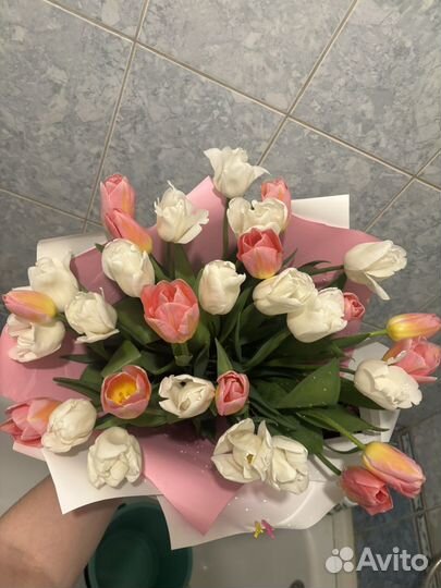 Тюльпаны букет