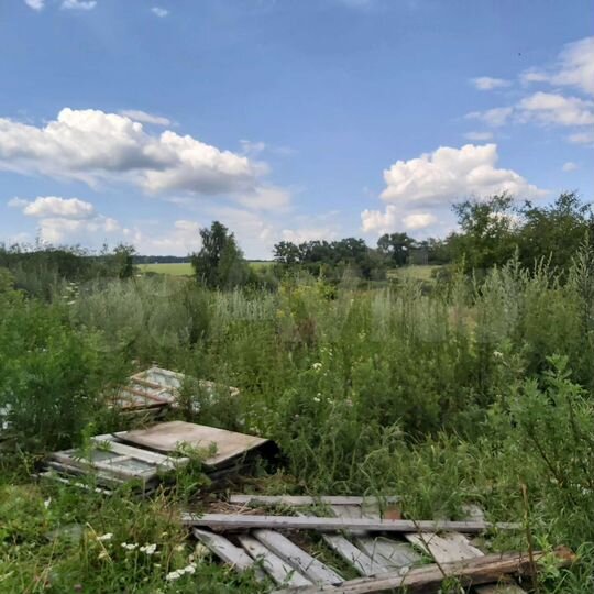 Участок 10 сот. (СНТ, ДНП)