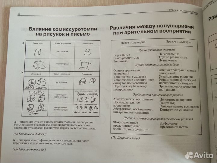 «Атлас нервной системы человека Микадзе, 6-е издан