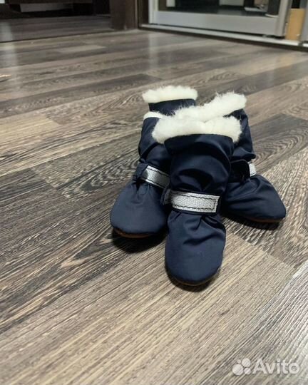 Обувь для собак