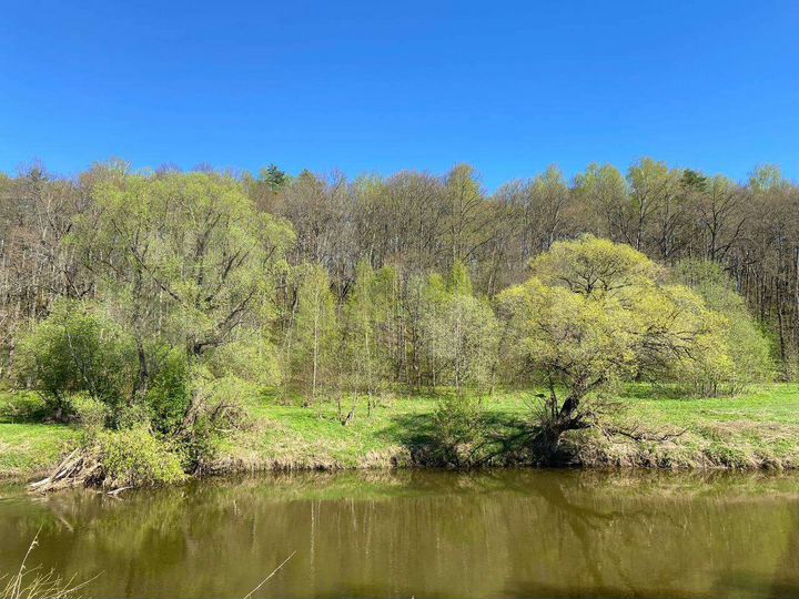 Участок 12,5 сот. (ИЖС)