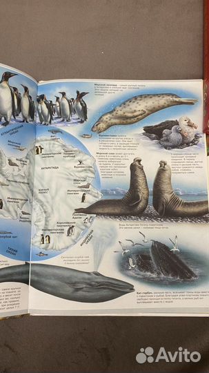 Детская энциклопедия