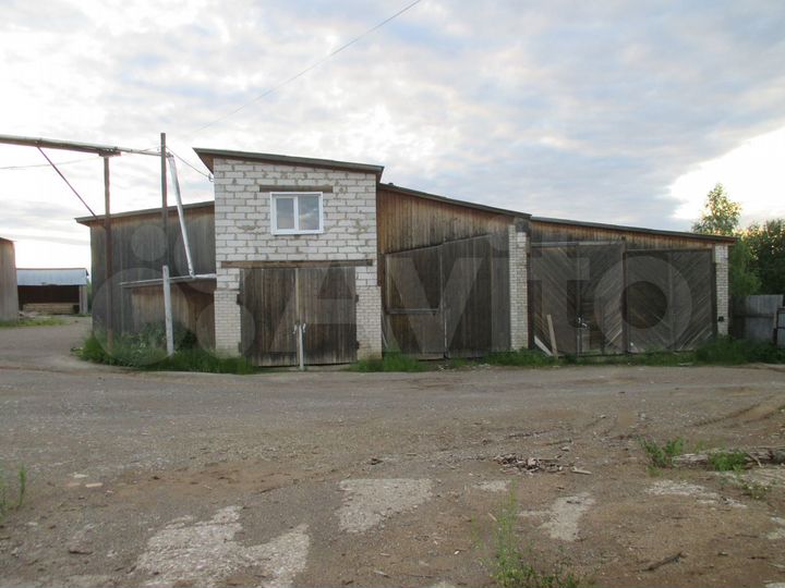 Пилорама 8398 м²