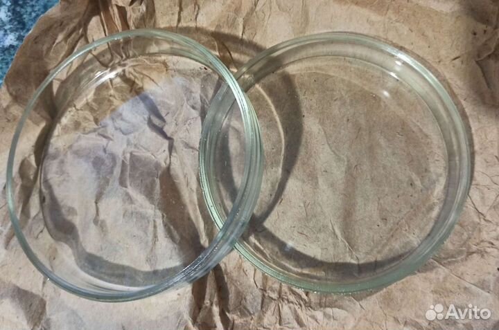 Чашка Петри