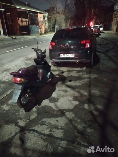 Сузуки сепия zz