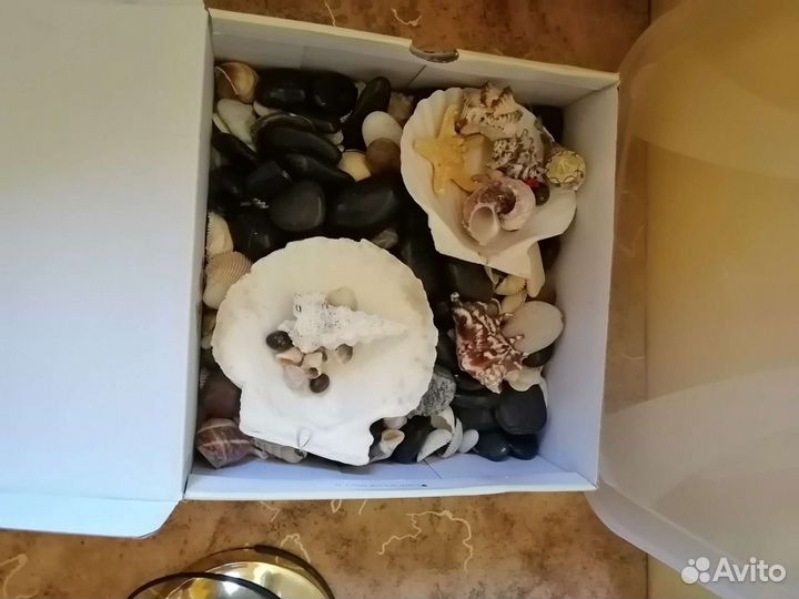 Аквариум на 50 литров, водоросли искусственные, ра