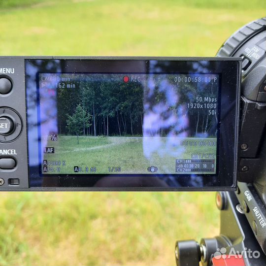 Профессиональная видеокамера Canon XF100