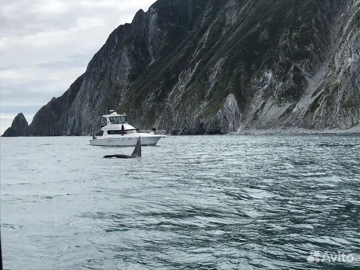 На Камчатку на 7 дней, лето 2024