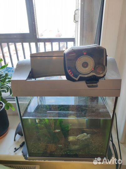 Аквариум Tetra с подсветкой, 30 литров