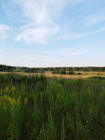 Участок 45,4 га (СНТ, ДНП)