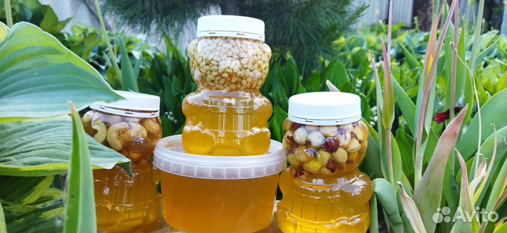 Медок 2023, соты, перга, помор, воск, прополис