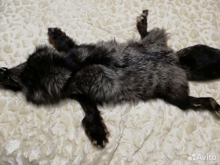 Шкура чернобурки