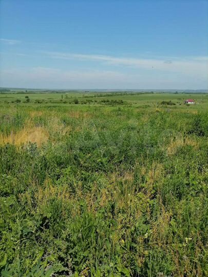 Участок 5 сот. (СНТ, ДНП)