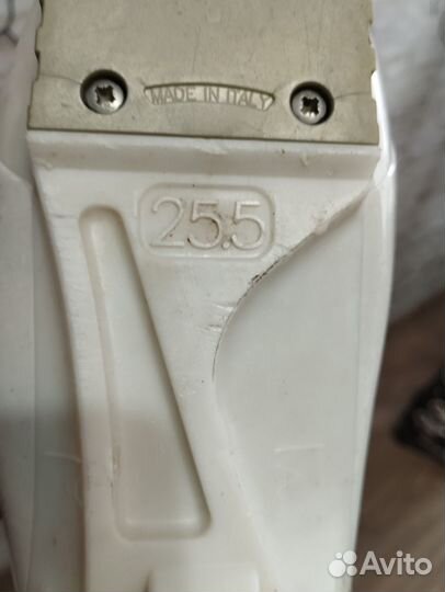 Горные лыжи