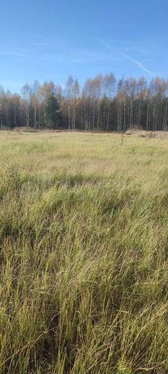 Участок 27,4 сот. (ИЖС)