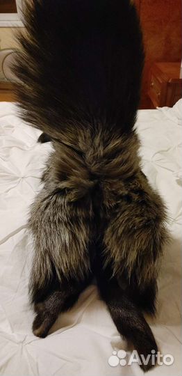 Шкурка чернобурки
