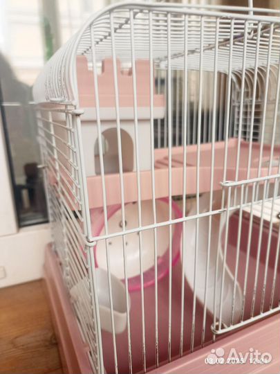 Клетка для хомяка + подарочки